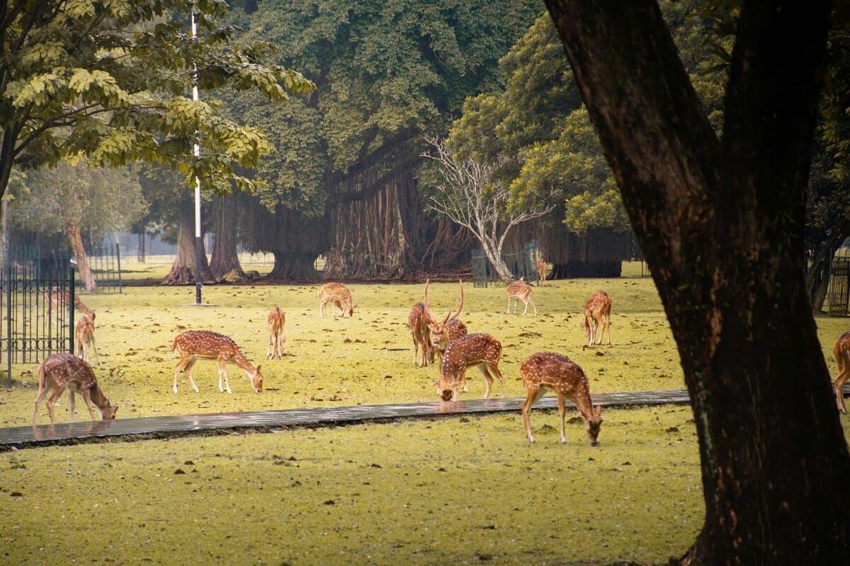 Istana Bogor jawa barat