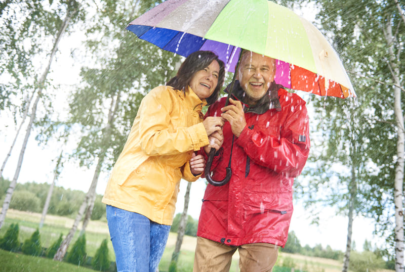  Tips Liburan Musim Hujan di Bogor agar Tetap Seru, Nyaman, dan Anti Gagal